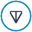 TON币/Toncoin